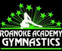 Roanoke summer camps