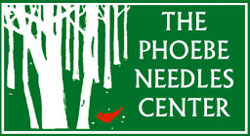 Roanoke summer camps